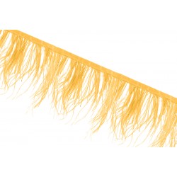 Τρέσα με φτερά στρουθοκαμήλου