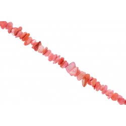 Κοχύλι - Chips