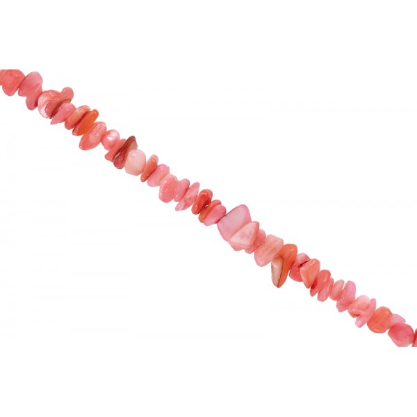 Κοχύλι - Chips