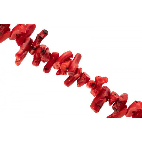 Κοράλι κέρατο