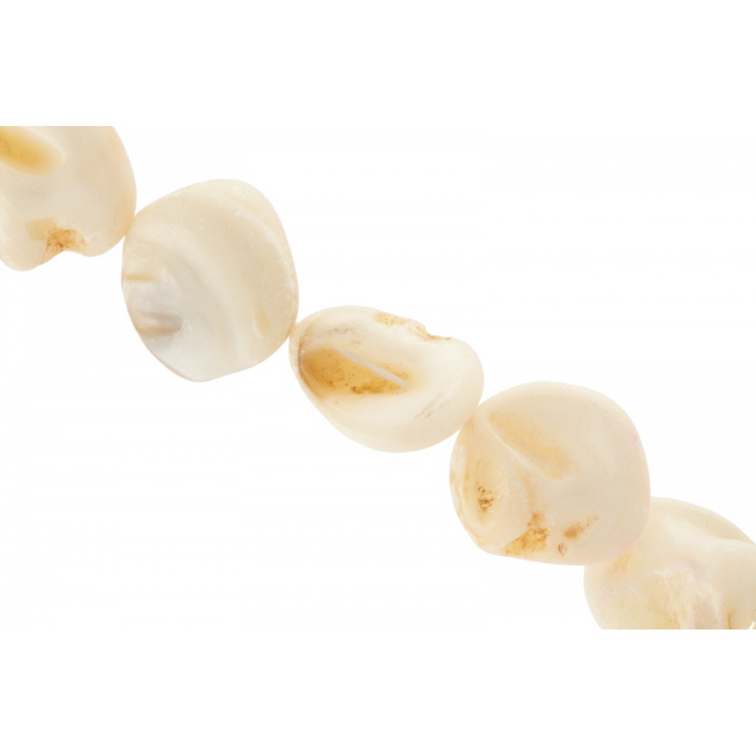 Λευκό κοράλι - Ακανόνιστο