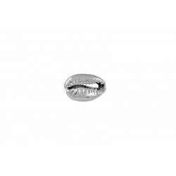 Κοχύλι cowrie περαστό