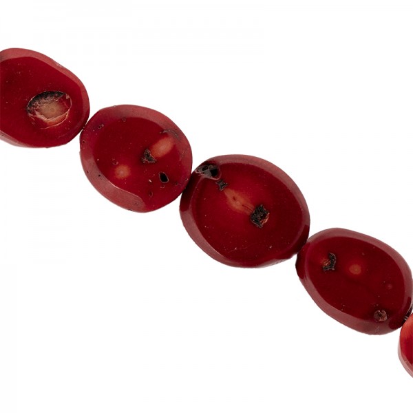 Κοράλι