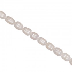 Μαργαριτάρια Καλλιέργειας