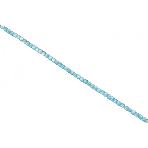 Κοχύλι - Ροδέλα