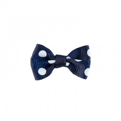 Φιόγκος γκρο πουά