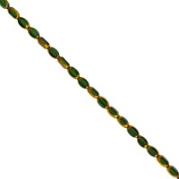 GOLD/TRANSPARENT GREEN