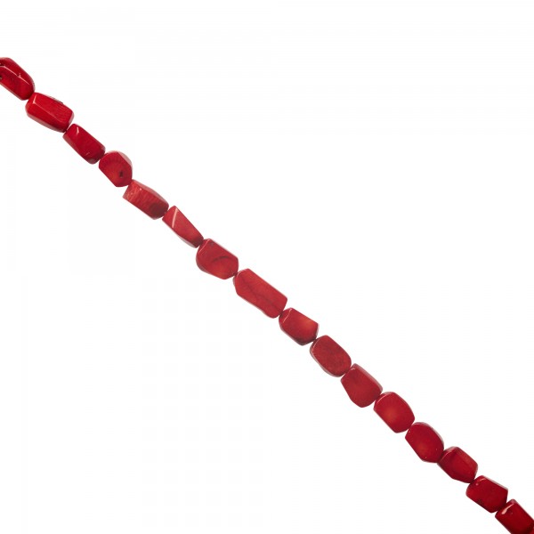 Κοράλι -Κορμός