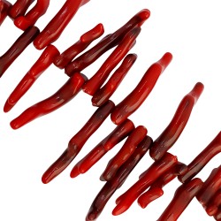 Κοράλι -Ακανόνιστο