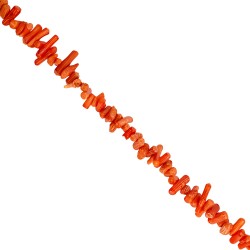 Κοράλι -Ακανόνιστο ραβδί