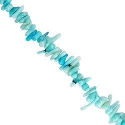 Κοράλι -Ακανόνιστο ραβδί