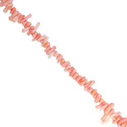 Κοράλι -Ακανόνιστο ραβδί