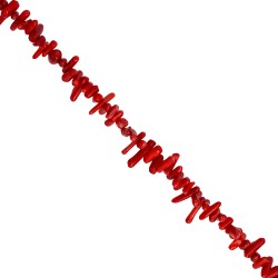 Κοράλι -Ακανόνιστο ραβδί