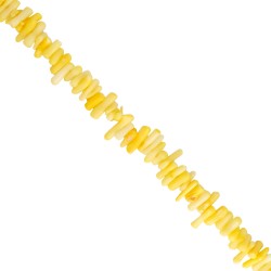 Κοράλι -Ακανόνιστο ραβδί