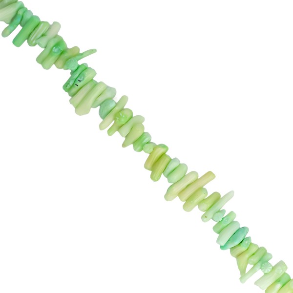 Κοράλι -Ακανόνιστο ραβδί