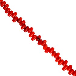 Κοράλι -Βαρελάκι