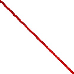 Κοράλι -Ροδέλα δορυφόρος