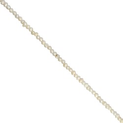 Μαργαριτάρια Καλλιέργειας