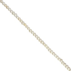 Μαργαριτάρια Καλλιέργειας