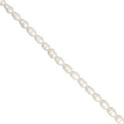 Μαργαριτάρια καλλιέργειας