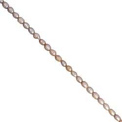 Μαργαριτάρια καλλιέργειας