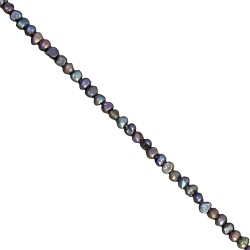 Μαργαριτάρια καλλιέργειας