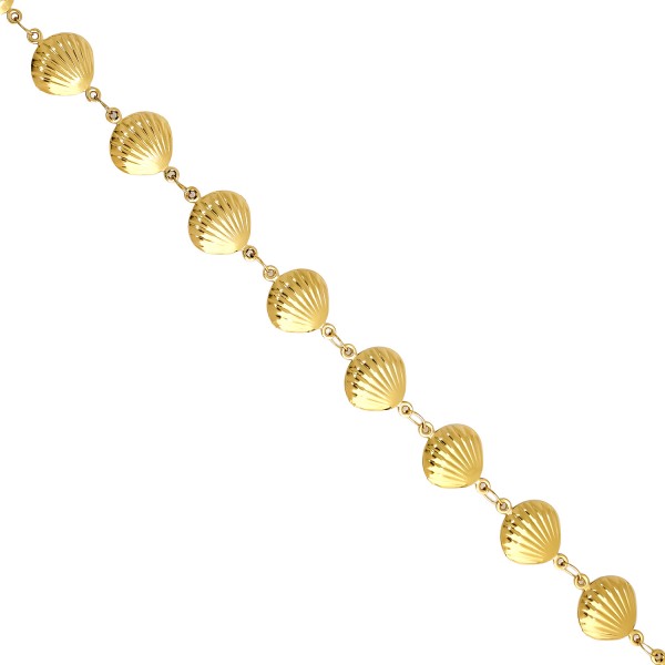 Ατσάλινη αλυσίδα με αχιβάδες